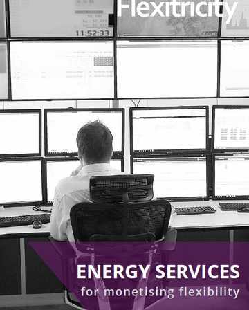Energy Services for Monetizing Flexibility