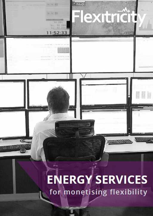 Energy Services for Monetizing Flexibility